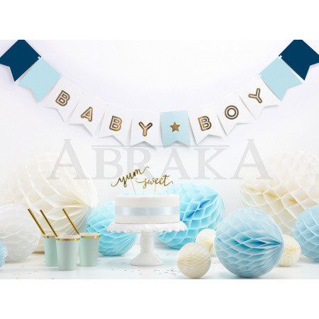 Banner BABY BOY 15 x 175 cm